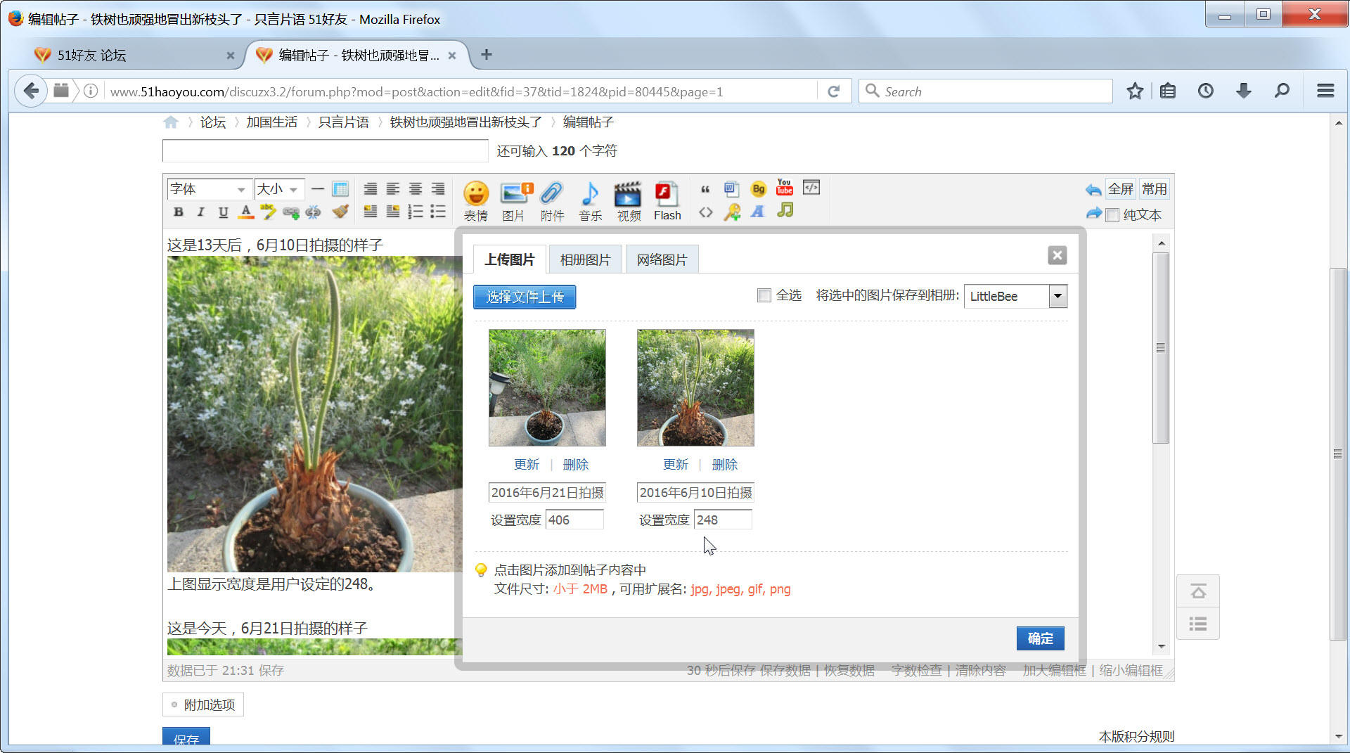 uploaded_images_width.jpg