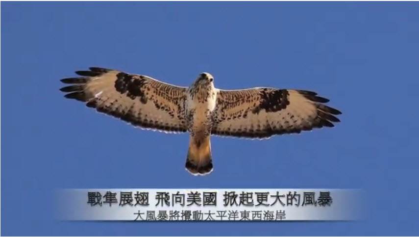 zhanying.jpg