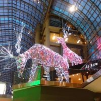 圣诞节中的伊顿中心Eaton Centre